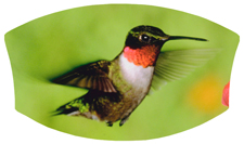 DNSWILL 027 Humming Bird 1